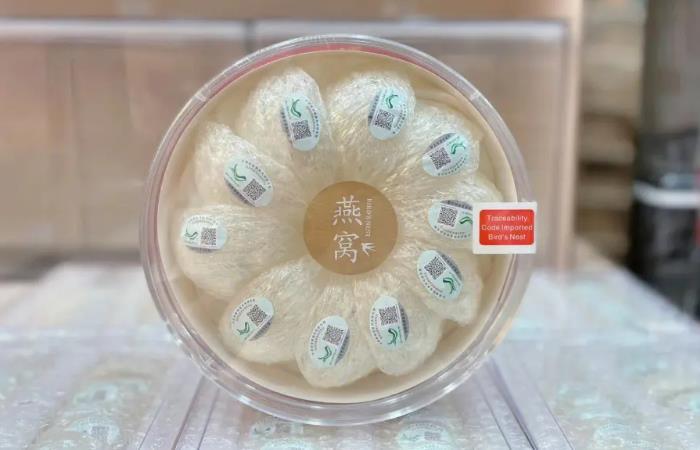 周矶管理区燕窝回收